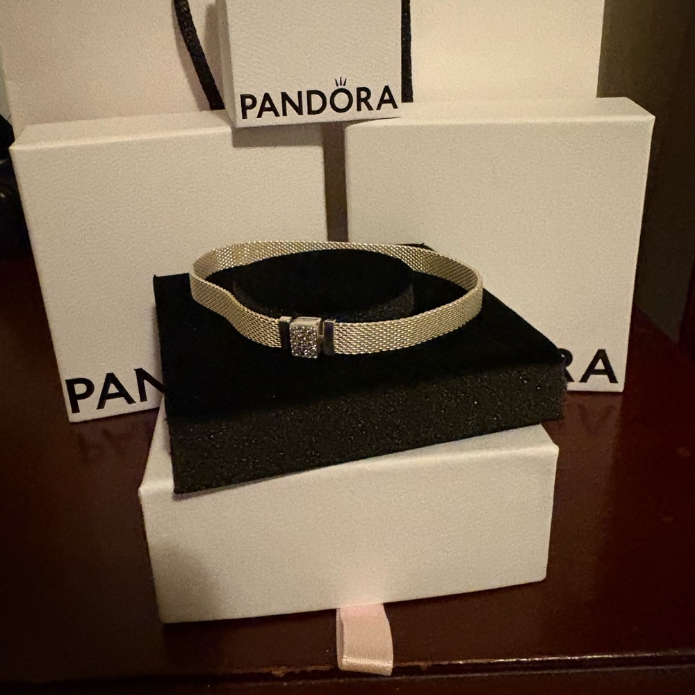 Pandora Silver Reflexions Mesh Bracelet